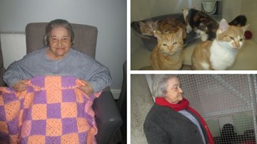 Swansea care home Residents crochet blankets for local animal shelter